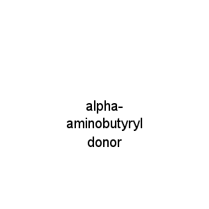 alpha-aminobutyryl donor